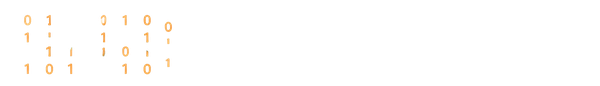 Digital Patient